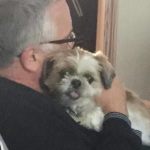 Meet your Posher, Ann